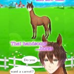 MY HORSE PRINCE