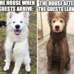 Before and After | THE HOUSE WHEN GUESTS ARRIVE:; THE HOUSE AFTER THE GUESTS LEAVE: | image tagged in before and after clean vs dirty dog,memes,dirty,clean,dogs | made w/ Imgflip meme maker