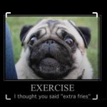 Dumb fat pug