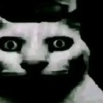 Uncanny cat