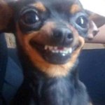 smile