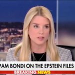 Pam Bondi Epstein template