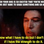 I know what I have to do but I don’t know if I have the strength | WHEN YOUR DOG IS SO EXCITED THAT YOU’RE HOME BUT YOU JUST HAVE TO GRAB SOMETHING AND GO AGAIN: | image tagged in i know what i have to do but i don t know if i have the strength | made w/ Imgflip meme maker