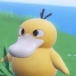 crosseye duck