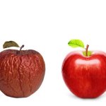 comparison apples