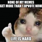 Sadness | NONE OF MY MEMES GET MORE THAN 1 UPVOTE NOW; LIFE IS HARD | image tagged in sad thumbs up cat,upvotes,sad | made w/ Imgflip meme maker