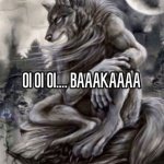 Oi oi oi baka