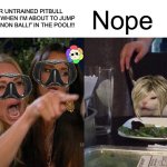Bro she has CYNOPHOBIA | STOP LET YOUR UNTRAINED PITBULL TO ATTACK ME WHEN I’M ABOUT TO JUMP AND SAID “CANNON BALL!” IN THE POOL!!! Nope | image tagged in memes,woman yelling at cat,pool,summer time | made w/ Imgflip meme maker