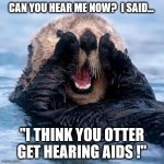 You Otter Get Hearing Aids | CAN YOU HEAR ME NOW?  I SAID... "I THINK YOU OTTER GET HEARING AIDS !" | image tagged in shouting otter | made w/ Imgflip meme maker