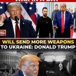Trump war