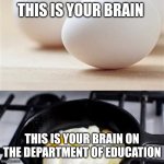 Brain on Dept of Ed | THIS IS YOUR BRAIN; THIS IS YOUR BRAIN ON THE DEPARTMENT OF EDUCATION | image tagged in brain brain on drugs egg | made w/ Imgflip meme maker