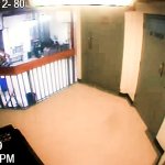 Epstein cell door video
