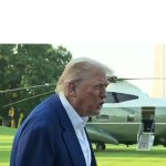 president trump they don't know