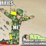 You Already Ruined Canines | FURRIES; ME; ANY CUTE UNDERRATED ANIMAL | image tagged in soldier protecting sleeping child,furries ruin everything,save species from becoming furbait,anti furry,furry,truth | made w/ Imgflip meme maker