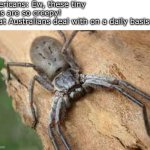 Personally, I could never live in Australia. I’m not afraid of bugs, I just know about a lot of venomous animals there. | Americans: Ew, these tiny bugs are so creepy!
What Australians deal with on a daily basis: | image tagged in giant huntsman spider | made w/ Imgflip meme maker
