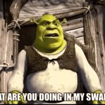 Shrek swamp