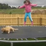 I’m out cat GIF Template