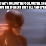 Freedom! | DOGS WITH UNLIMITED FOOD, WATER, SHELTER, AND LOVE THE MOMENT THEY SEE AND OPEN DOOR | image tagged in gifs,dog | made w/ Imgflip video-to-gif maker