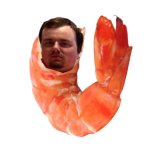 Coon shrimp