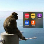 blinkit monkey