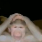 fps oyunu GIF Template