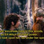 A great sorceress lives in this woods