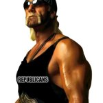 Hollywood Hulk Hogan NWO Republican