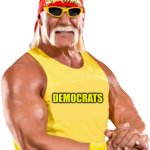 Hulk Hogan Democrats