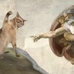 cat vs God