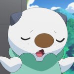 Oshawott shrug