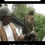 15 Scariest Bird Sounds | image tagged in gifs,15 scariest bird sounds | made w/ Imgflip video-to-gif maker