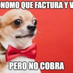 Flujo de caja | AUTONOMO QUE FACTURA Y VENDE; PERO NO COBRA | image tagged in cara susto | made w/ Imgflip meme maker