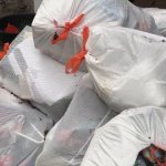 Pile of White Trash