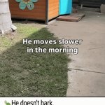 I Like Turtles | image tagged in gifs,i like turtles | made w/ Imgflip video-to-gif maker