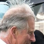Nice Comb Over