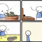 Trap