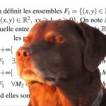 dog maths