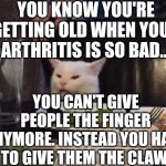 Smudge that darn cat | YOU KNOW YOU'RE GETTING OLD WHEN YOUR ARTHRITIS IS SO BAD... YOU CAN'T GIVE PEOPLE THE FINGER ANYMORE. INSTEAD YOU HAVE TO GIVE THEM THE CLAW. | image tagged in smudge that darn cat | made w/ Imgflip meme maker