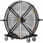 Big Fan