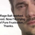 ragebait worked