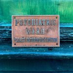 Make Asylums Great Again