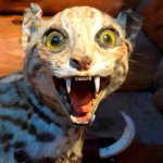 Bad Taxidermy Cat