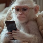 Monkey iphone