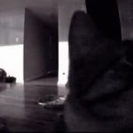 FlashBang Cat meme