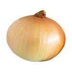 Onion of truth