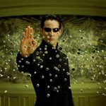Matrix bullet stop