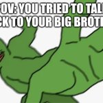 I did this once... Worst mistake of my life! | POV: YOU TRIED TO TALK BACK TO YOUR BIG BROTHER | image tagged in pepe punch | made w/ Imgflip meme maker