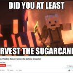 If yk, yk. Mr. Finch Songs of War vs Deathsinger | DID YOU AT LEAST; HARVEST THE SUGARCANE?! | image tagged in ten haunting photos taken before disaster,minecraft,animation,harvest,battle | made w/ Imgflip meme maker