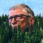 Bill Gates vs trees