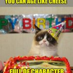 Age like cheese, not whine. | WHY AGE GRACEFULLY WHEN 
YOU CAN AGE LIKE CHEESE; FULL OF CHARACTER AND SLIGHTLY OFFENSIVE. | image tagged in memes,grumpy cat birthday,grumpy cat | made w/ Imgflip meme maker